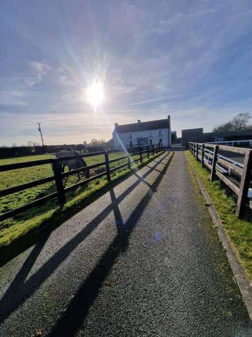 Welcome To Dc'S Cottage Holycross Exteriér fotografie